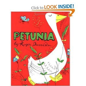 petunia