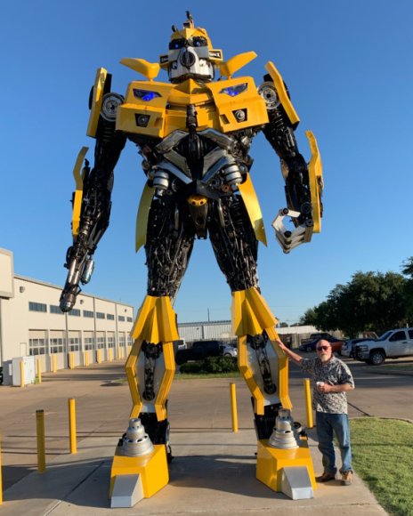 54 bumblebee donald