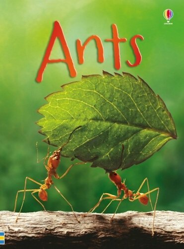 ants