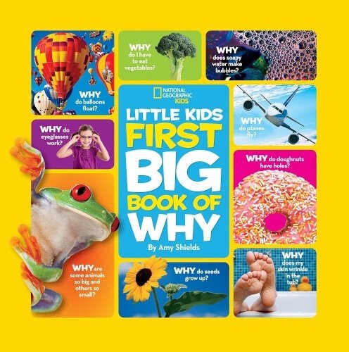 little kids first big book of why