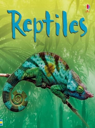 reptiles