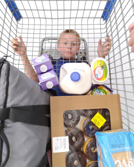 12 joel shopping cart (1)