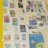 08 lapbook3