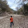 11 creek