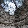 11 creek