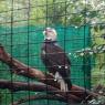 IMG_20251124_125424
