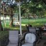 05 25 neighbors