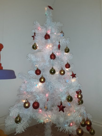 1201 tree