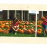 PhotoScan (10)