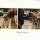 PhotoScan (13)