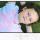 PhotoScan (25)