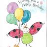 05 bday dandc