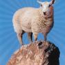 02 adoption lacasse (2)
