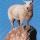 02 adoption lacasse (2)