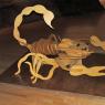 18 scorpion