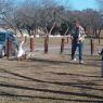 03 tx trip
