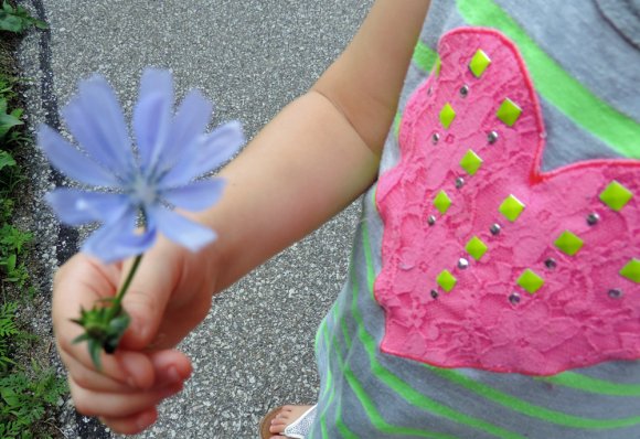 nature flower