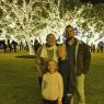 12 christmas lights