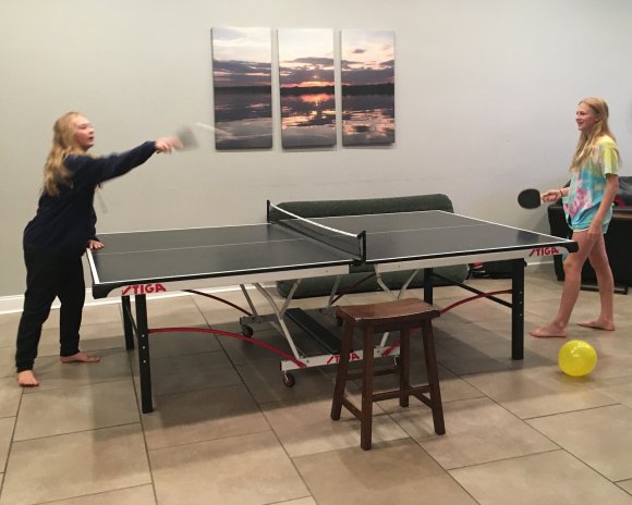 pingpong