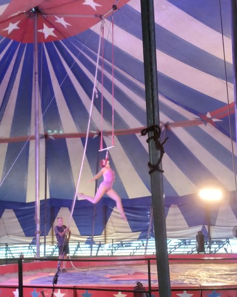 circus (13)