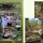 Screenshot 2025-10-20 110419