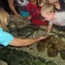 08 sea life aquarium