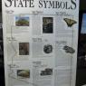 08 usery state symbols