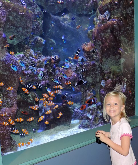 41 nemo tank hannah