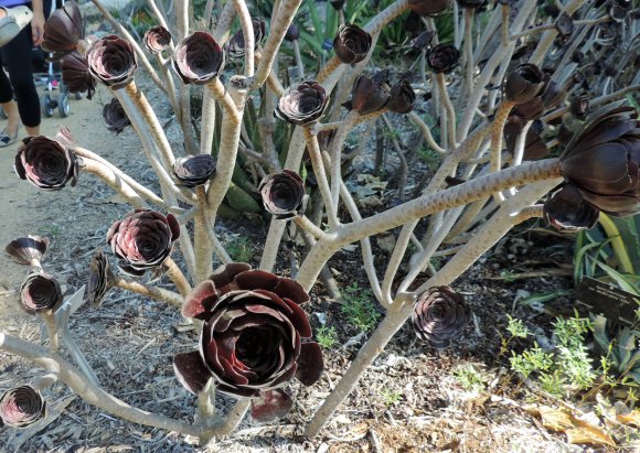 black plastic flower