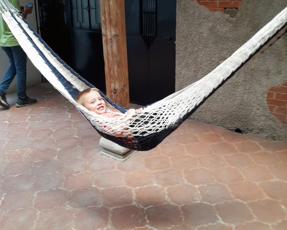 hammock joel2