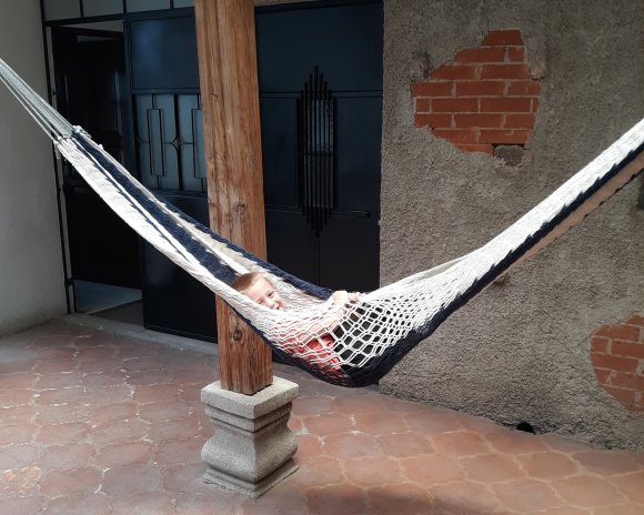 hammock joel