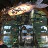 1 bass pro