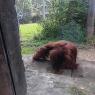 06 zoo