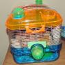 46 gerbils