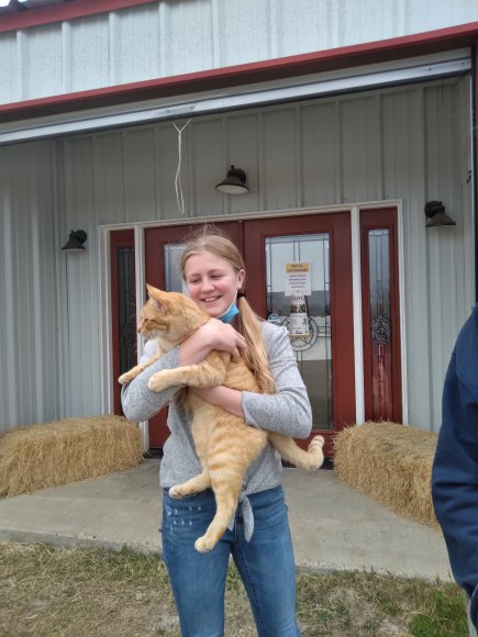 random barn cat