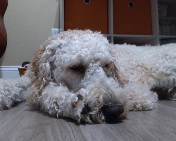 sam (5)