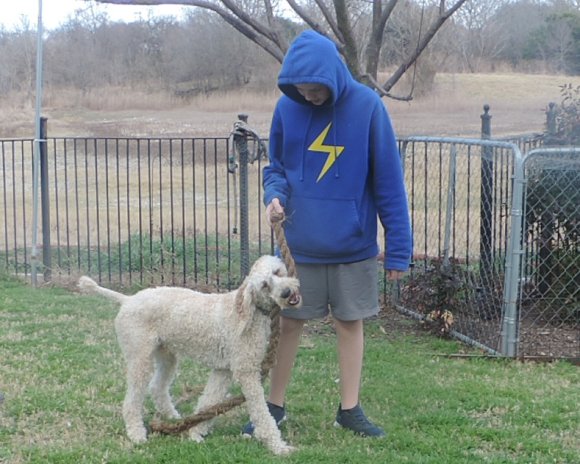 sammy (5)
