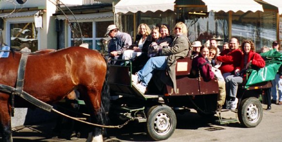 2-4 Carriage ride