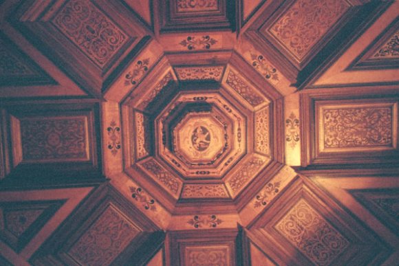 7-6 Hunting room ceiling