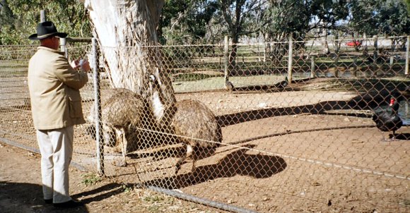 12 bordertown emus donald