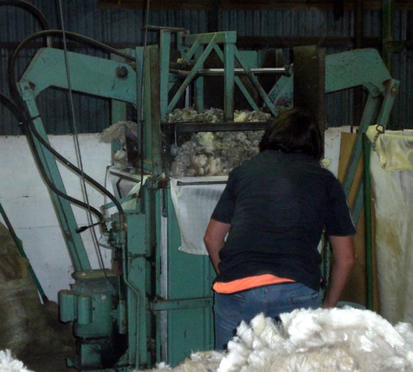 12 sheep wool baler