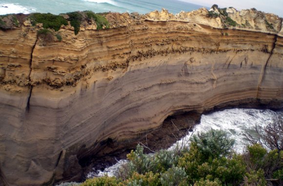 14 great ocean road razor back