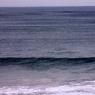 14 warrnambool wave
