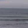 14 warrnambool whale1