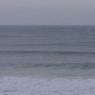 14 warrnambool whale2