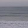 14 warrnambool whale3
