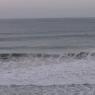 14 warrnambool whale4