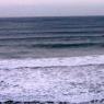14 warrnambool whale5