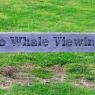 14 warrnambool whales sign2
