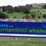 14 warrnambool whales sign